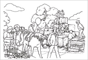Illustrationen (Vorlagen) für ein Malbuch - herausg. von der Tierproduktion Haffküste