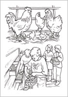 Illustrationen (Vorlagen) für ein Malbuch - herausg. von der Tierproduktion Haffküste